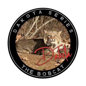 DAKOTALINE BOBCAT