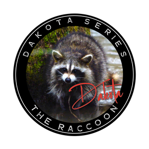 DAKOTALINE RACCOON