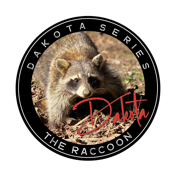 RACCOON SNARING BUNDLE