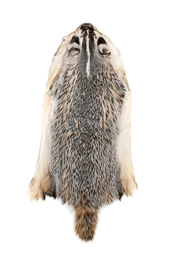 BADGER
