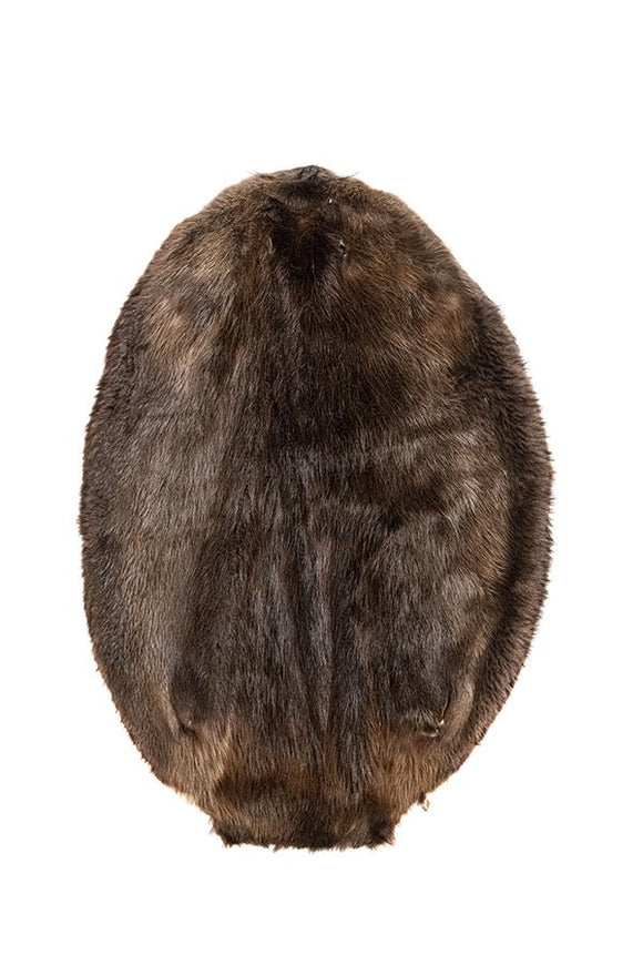 BEAVER