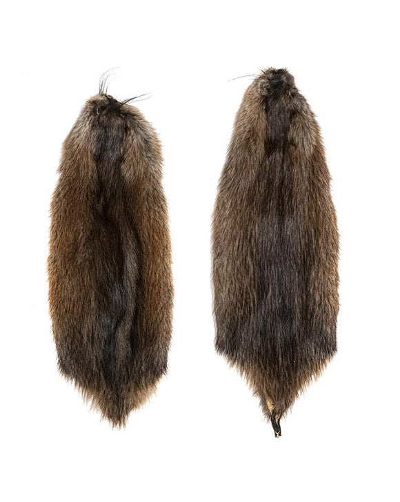 MUSKRAT