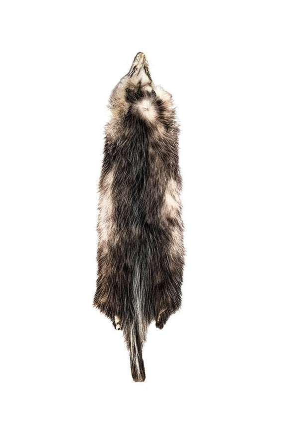 OPOSSUM