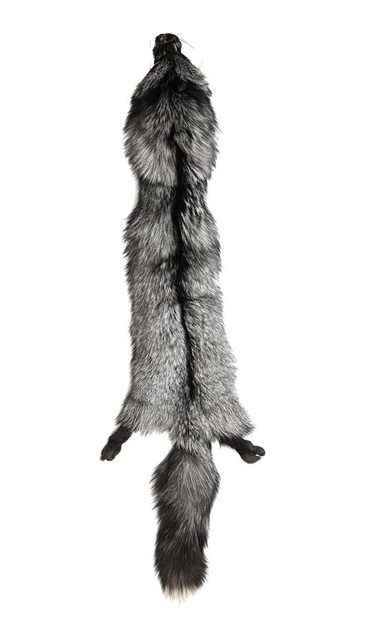 SILVER FOX